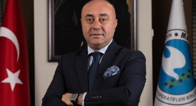  Zeytinyağlı çikolata Avrupa yolunda
