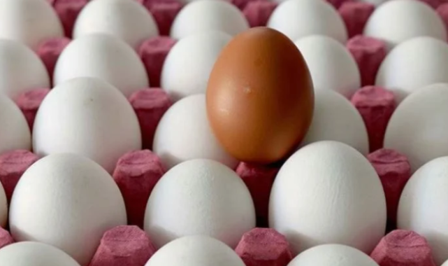 Altın yumurtlayan tavuğun hikayesi...